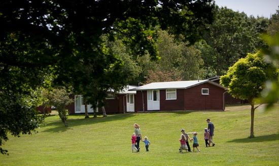 Shorefield Country Park