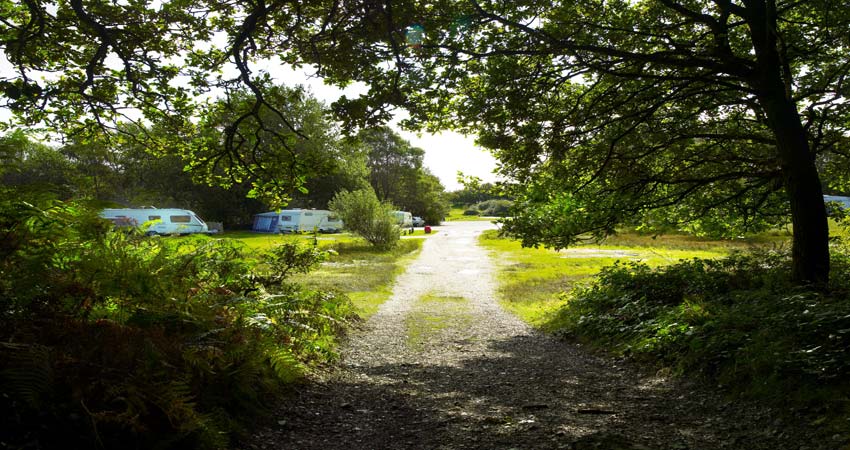 Holmsley Campsite