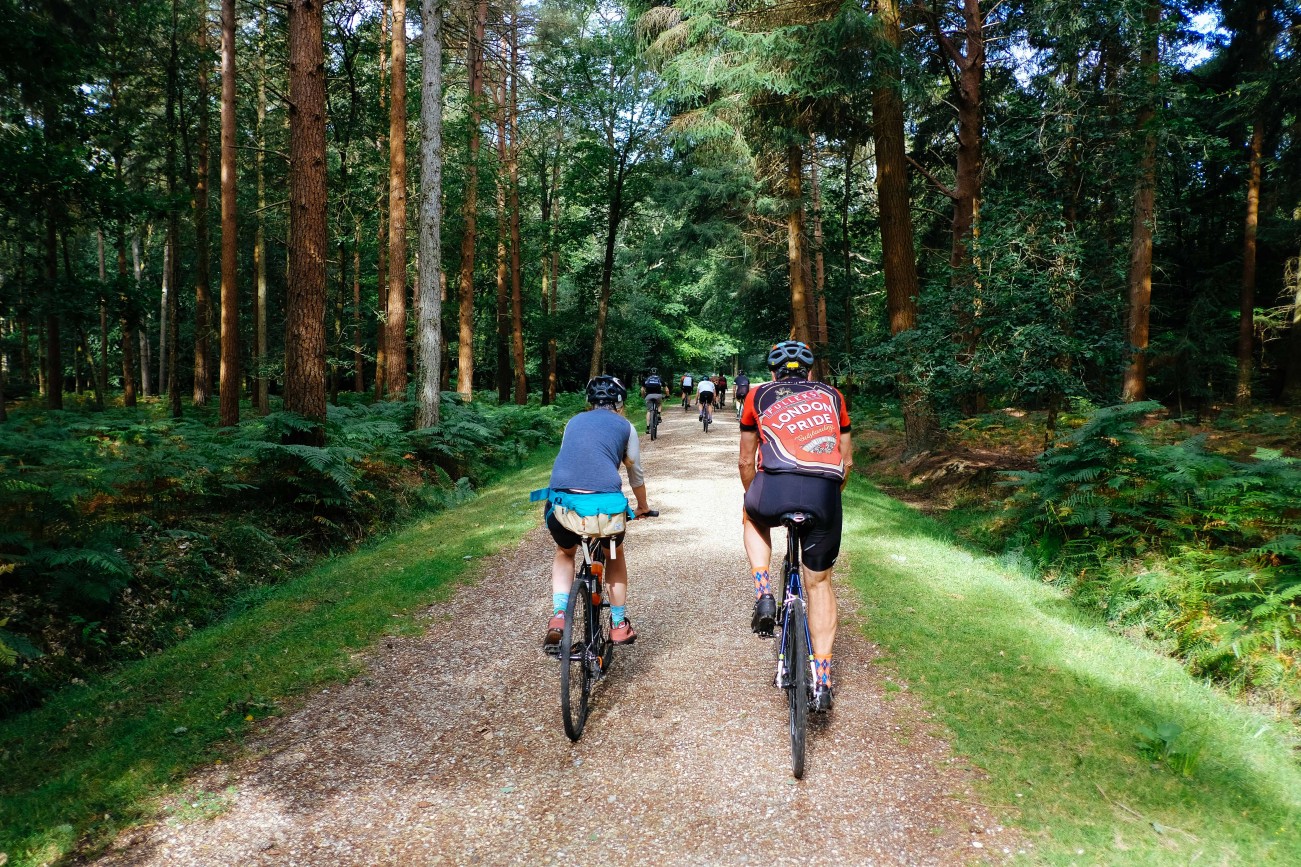 new forest bike tour