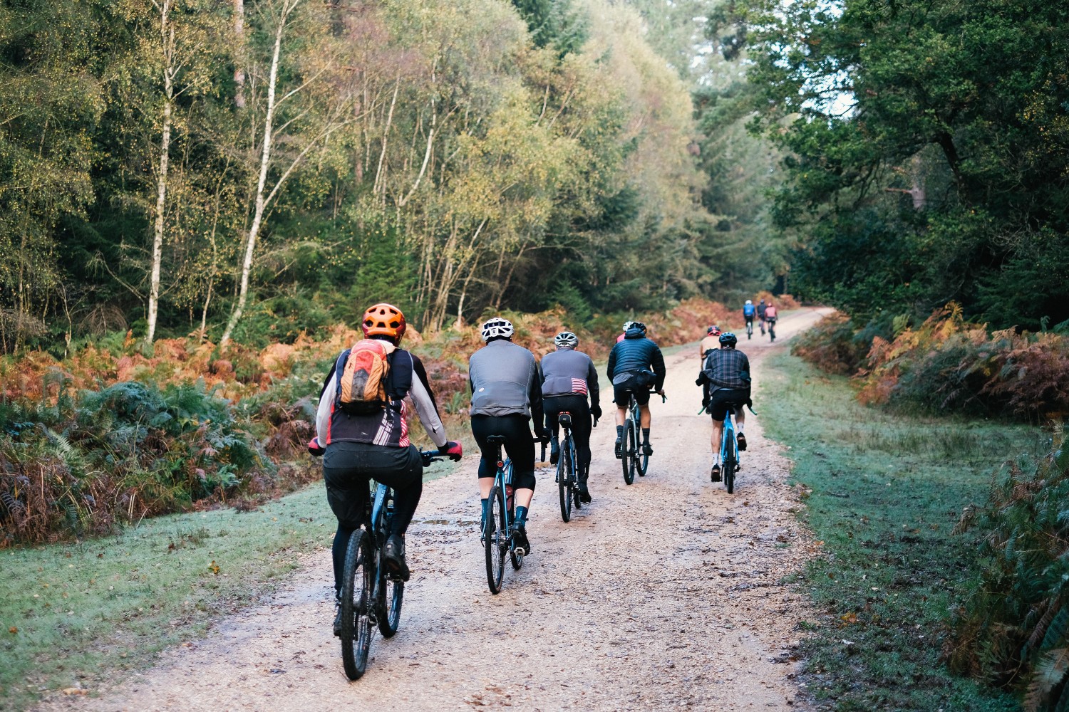 the new forest tour cycling