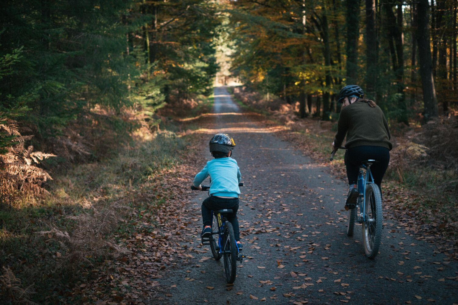 new forest cycle paths