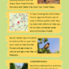 New Forest Walking Map