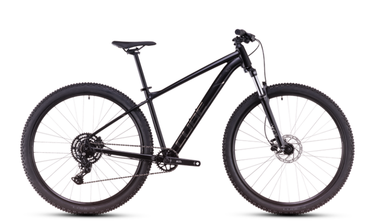 Mountain Bike (Ages 12+) hire bike